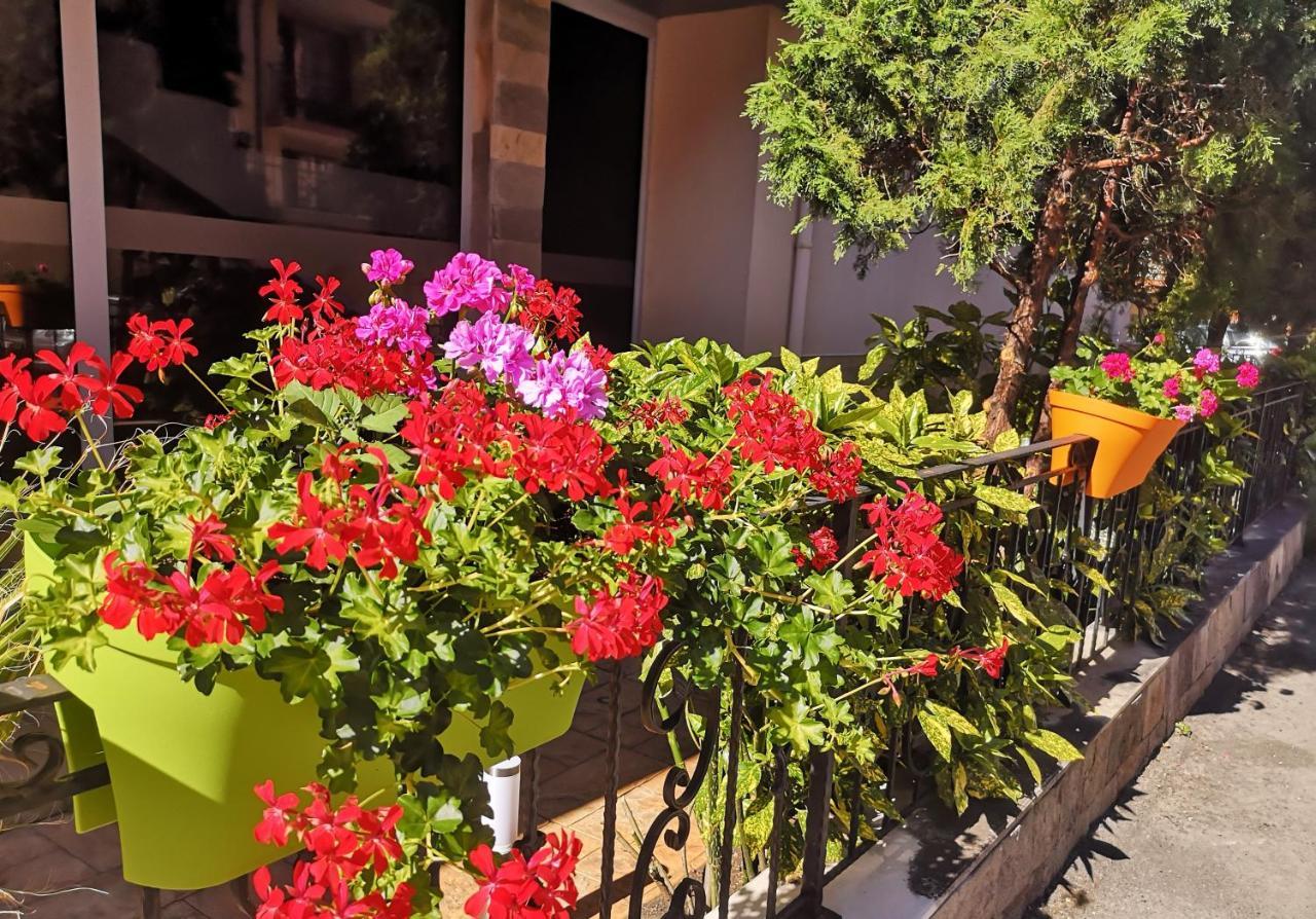 Tropics Hotel Sveti Vlas Ngoại thất bức ảnh